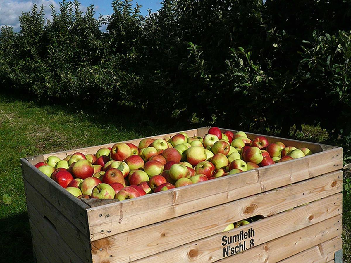 יורק Ferienwohnung Rudis Obstgarten מראה חיצוני תמונה