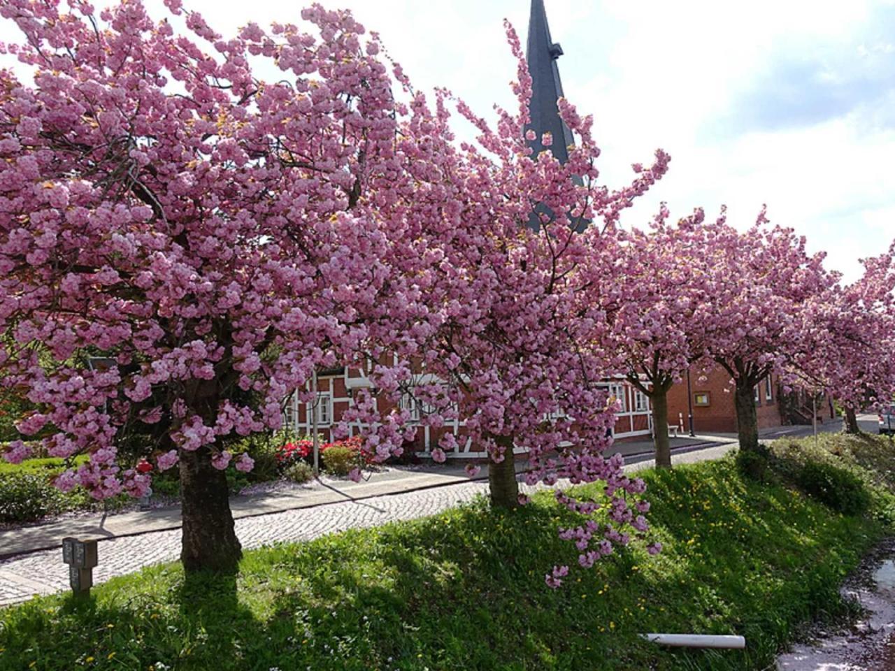 יורק Ferienwohnung Rudis Obstgarten מראה חיצוני תמונה